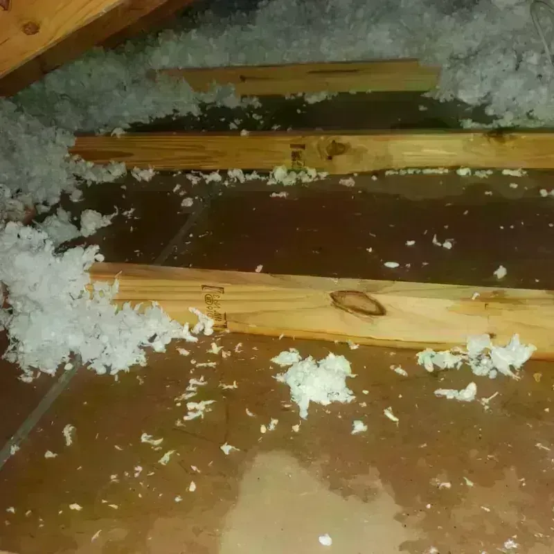 Attic Water Damage in Bellmead, TX